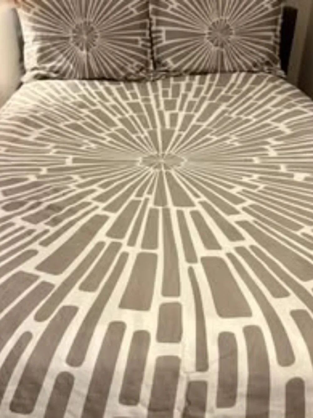 Jonathan Adler Duvet Cover and Standard Shams set